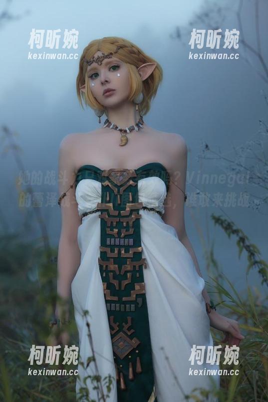 她的战斗力只对家务有效吗？Vinnegal的蕾泽战斗女仆II图包精选，谁敢来挑战？
