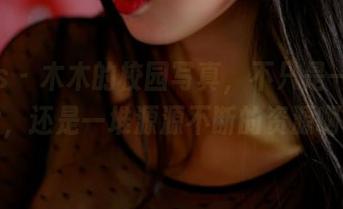 pans – 木木的校园写真，不只是一张图片，还是一堆源源不断的资源啊！